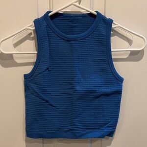 Aerie Royal Blue Textured Tank Top